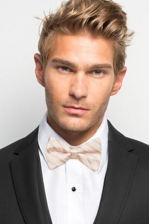 Striped Bow Tie - All Dressed Up, Tuxedo Rental